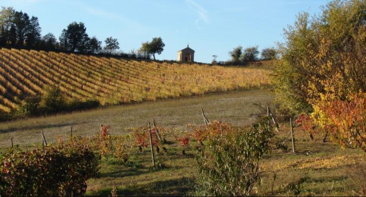 B&B Carletto Cella Monte Exterior photo