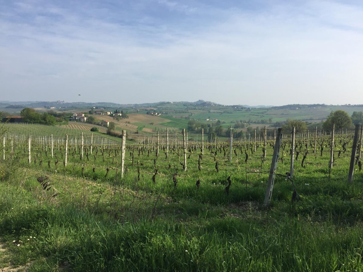 B&B Carletto Cella Monte Exterior photo